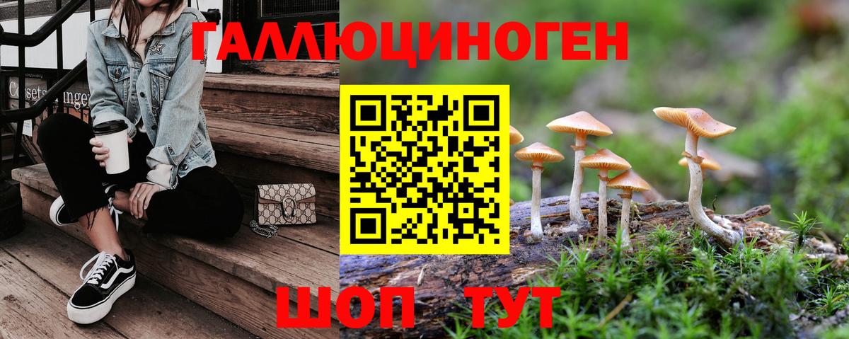 Галлюциногенные грибы Psilocybine cubensis Сафоново